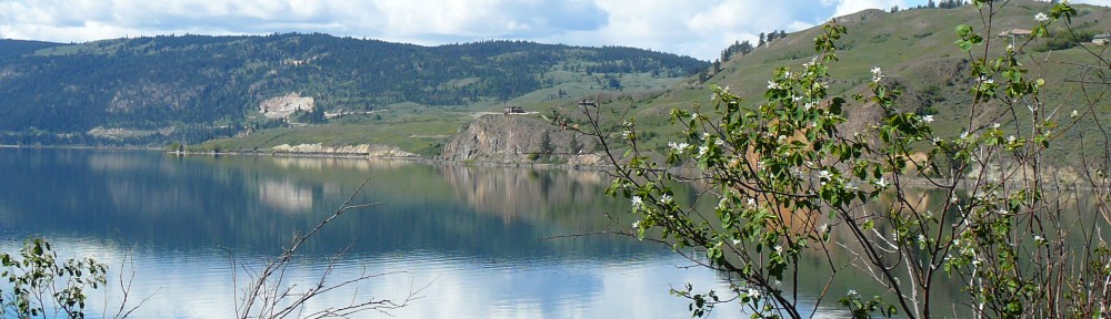 chattykathychatsandcooks