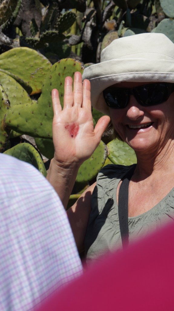 Just 1 little cochineal bug created all this colour!