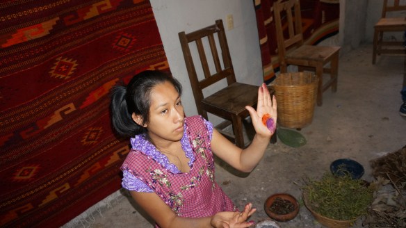 A perfect red - the cochineal bug provides the perfect base to create so many shades in the red family.