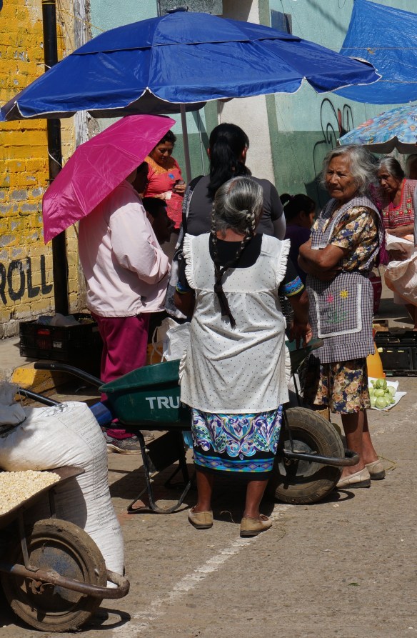 It was easy to imagine these old gals meeting up every week to chat.