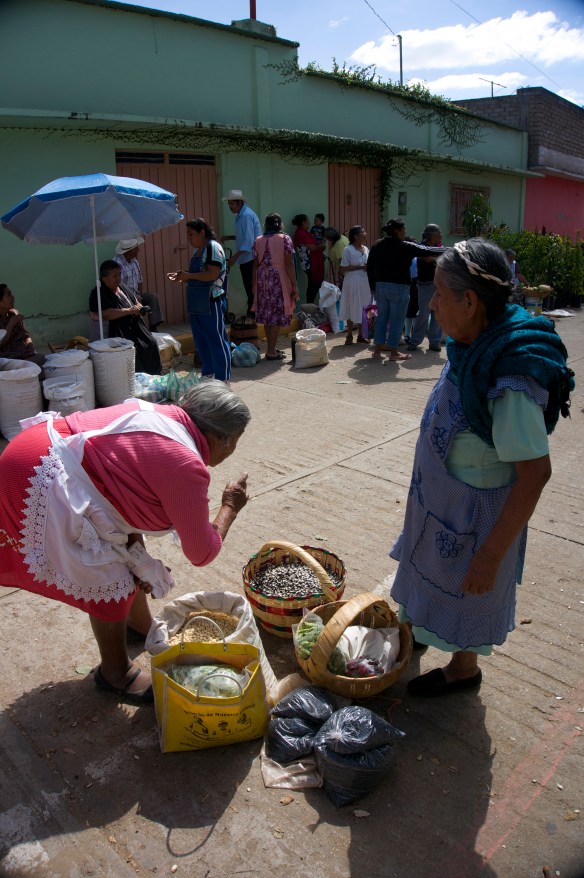 I've never seen black corn!