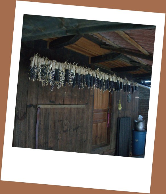 We went into one village home - hard to see across the room with wood used for heat as well as cooking and poor ventilation - blue corn hanging everywhere to dry.