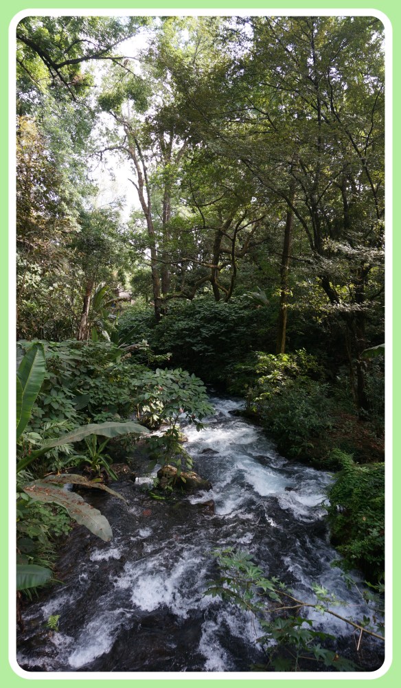 El Parque National Uruapan