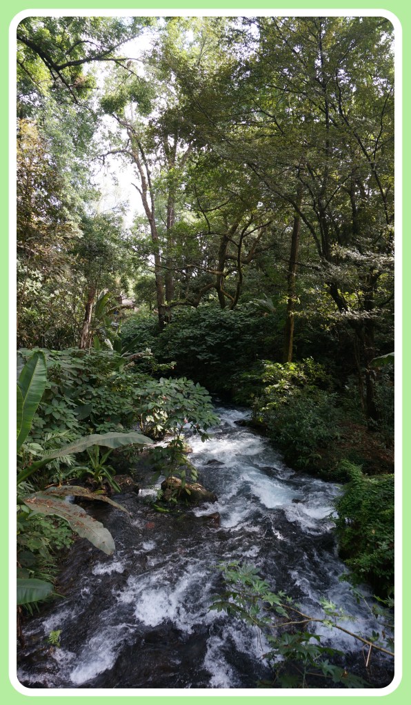 El Parque National Uruapan