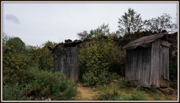 After the bus trip, and the long walk to the base of the climb, I was pretty lucky to find some banos ….