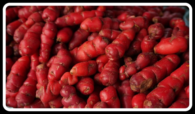 Have you ever seen such cute little red potatoes?