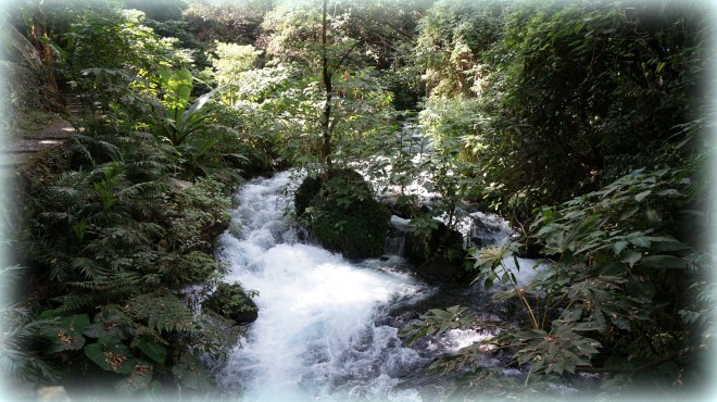 Beautiful water, cascading everywhere 