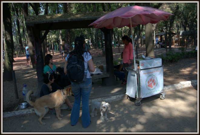 Mexicans love their dogs, and this dog park even has snack stands to buy dog treats. You wouldn't believe them lined up patiently to get their treat. You also wouldn't believe the number of well behaved dogs in the park without a single problem. Oh - and one pig, but I wasn't fast enough to get a photo of the little porker.
