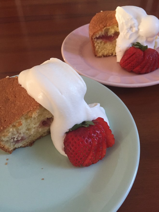 Basic white cake, today with a layer of fresh strawberries baked into the middle of the cake and served with softly whipped cream.