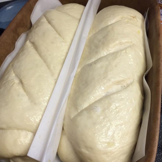 Ready for the oven - if you like, give each loaf a few diagonal slices.