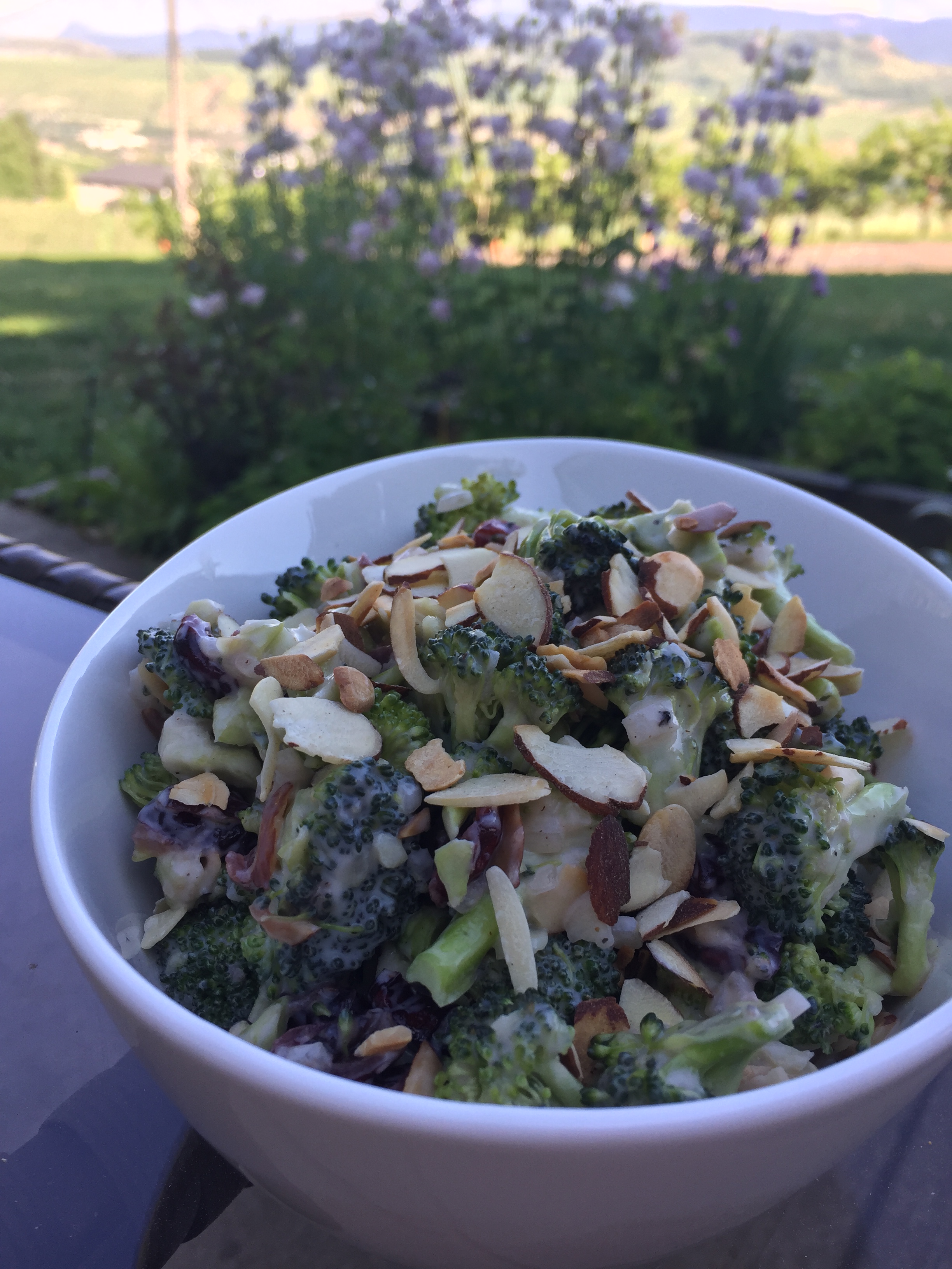 Broccoli Slaw
