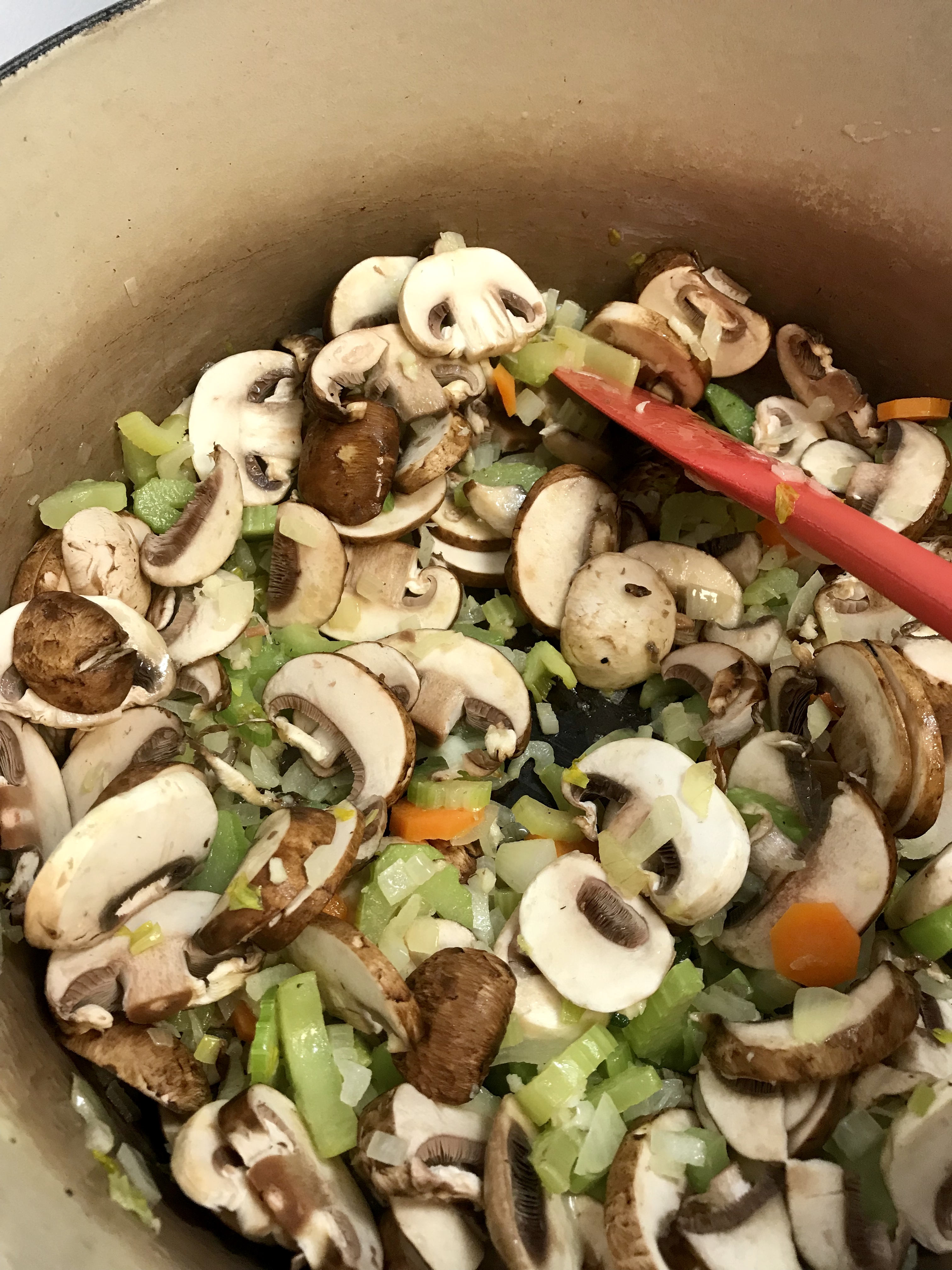 Chicken Mushroom Soup 3
