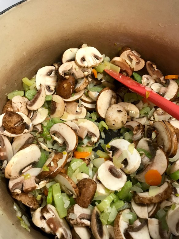 Chicken Mushroom Soup 3