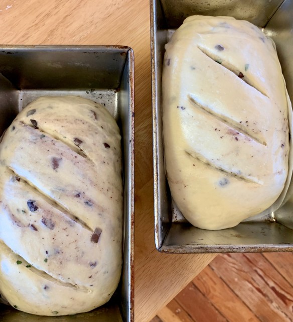 olive loaf 4