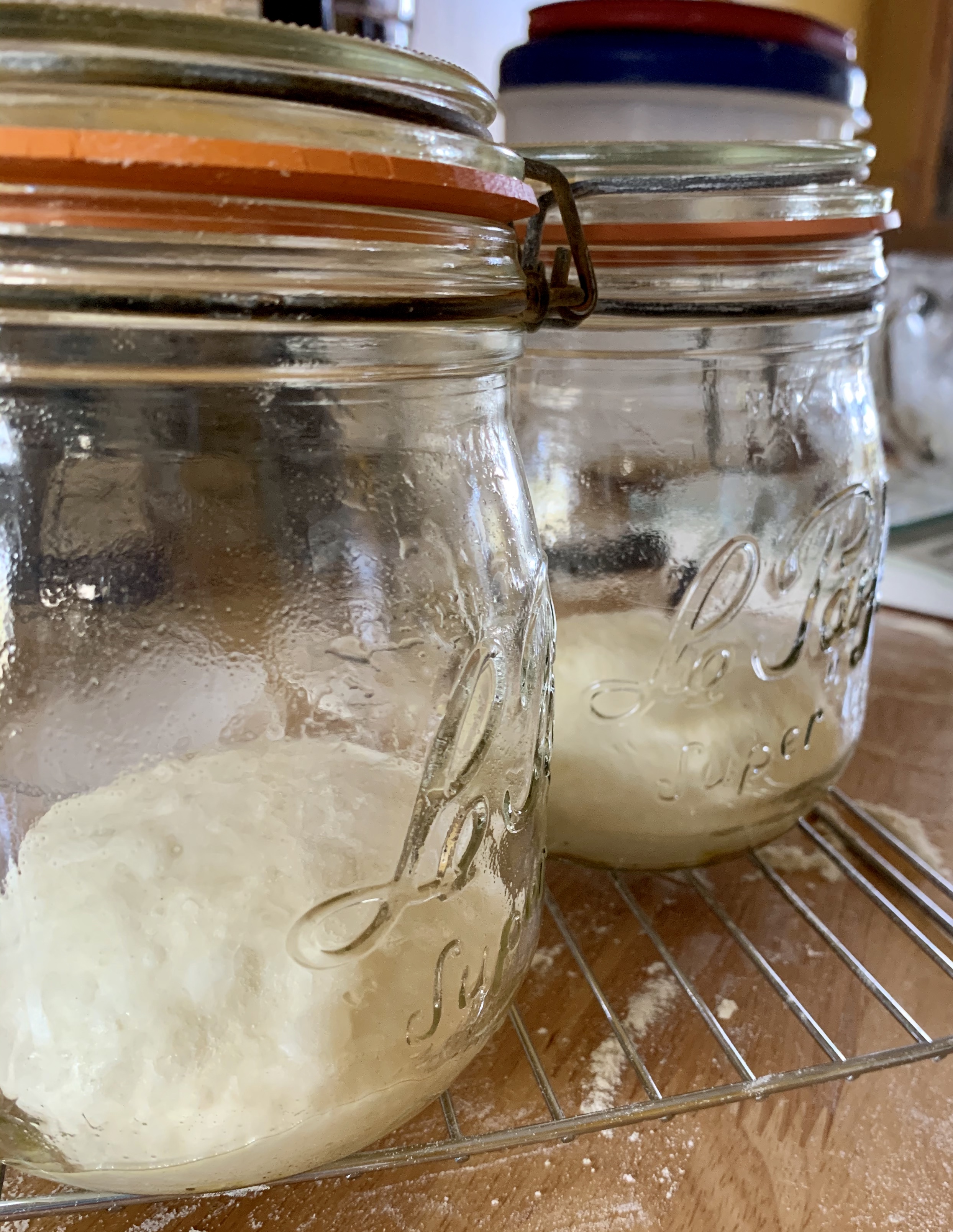 Sourdough pizza dough 1